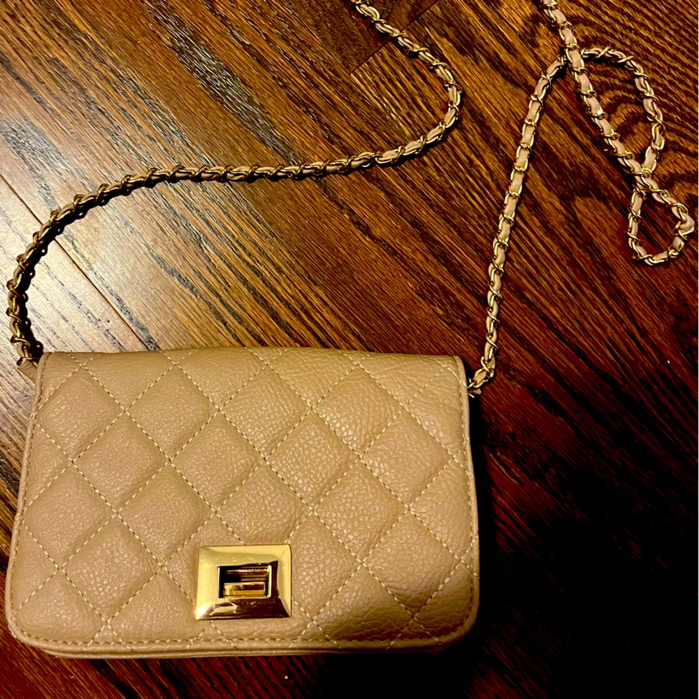 Charlotte Russe bag